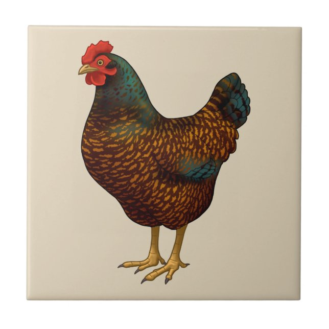 Brown Barnevelt Hen Hühnchen Fliese (Vorderseite)