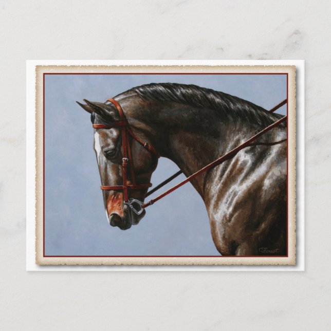 Brown Bay Oldenburg Horse Portrait Postkarte (Vorderseite)