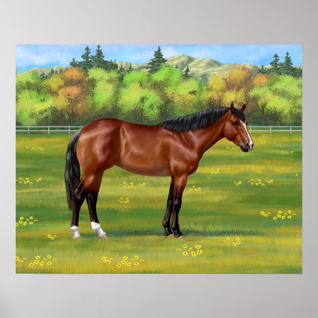 Brown Bay Quarter Horse Poster (Vorne)