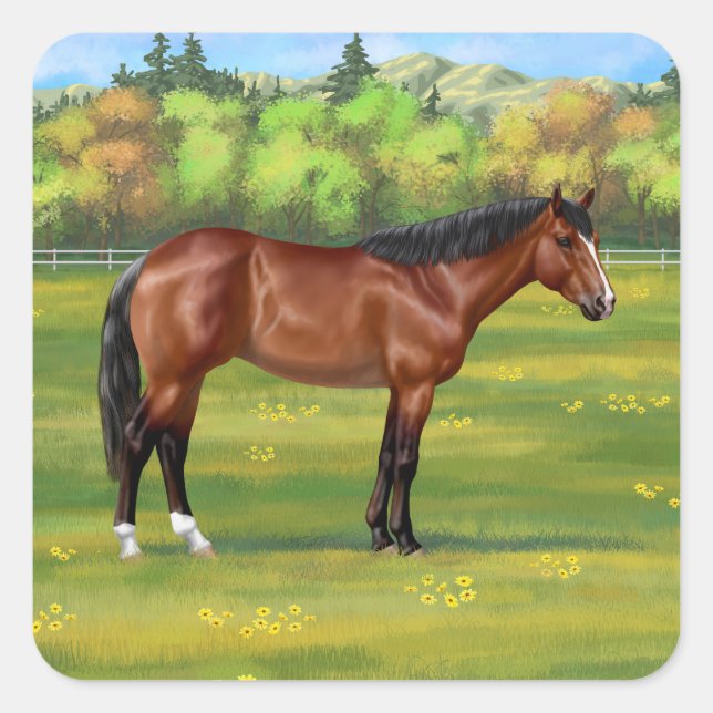 Brown Bay Quarter Horse Quadratischer Aufkleber (Vorderseite)