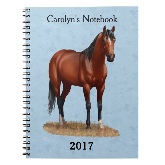 Brown Bay Quarter Horse Stallion Notizblock (Vorderseite)
