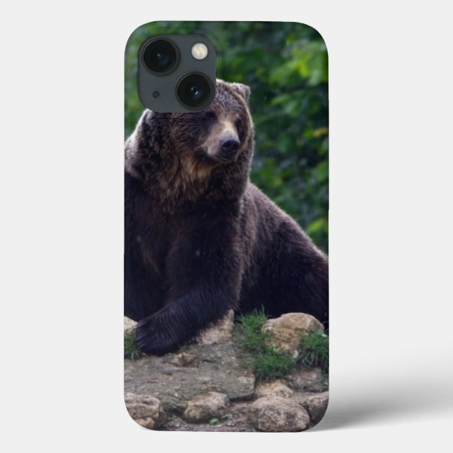 Brown Bear Case-Mate iPhone Hülle (Rückseite)
