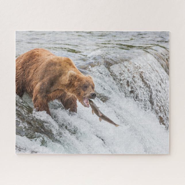 Brown Bear Catches Red Salmon (Horizontal)