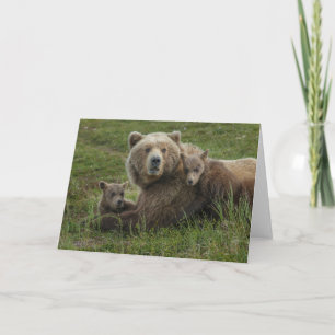 Brown Bear Cubs Cuddling with their Mother Karte