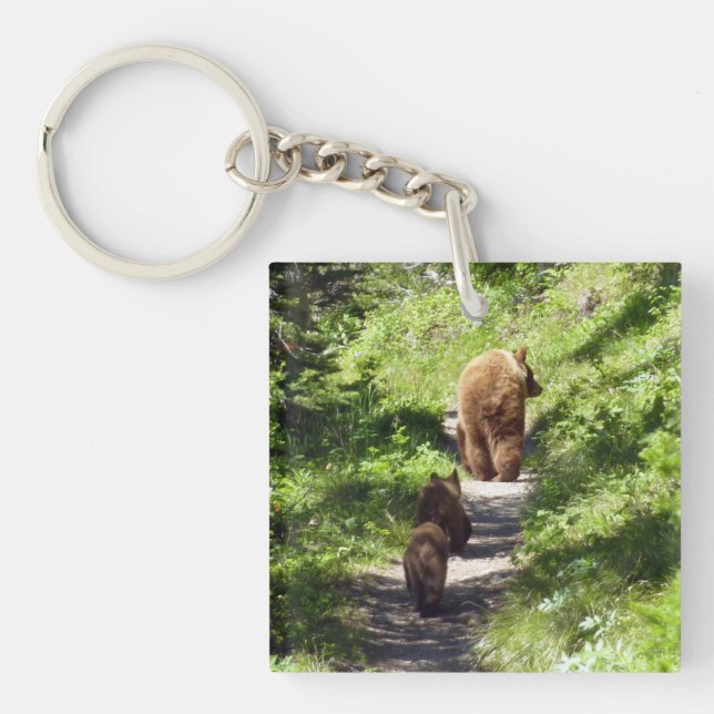 Brown Bear Family Schlüsselanhänger (Vorderseite)