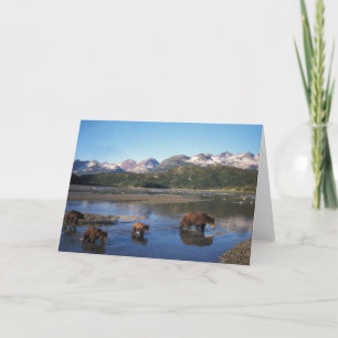 Brown bear, grizzly bear, sow and cubs in karte