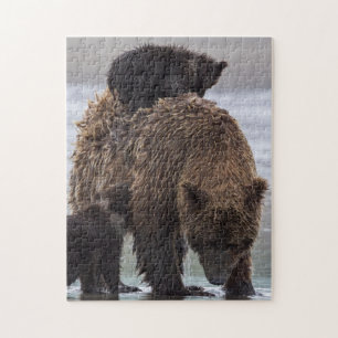 Brown Bear Nationalpark See-Clarks