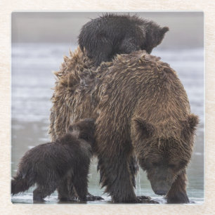 Brown Bear Nationalpark See-Clarks Glasuntersetzer