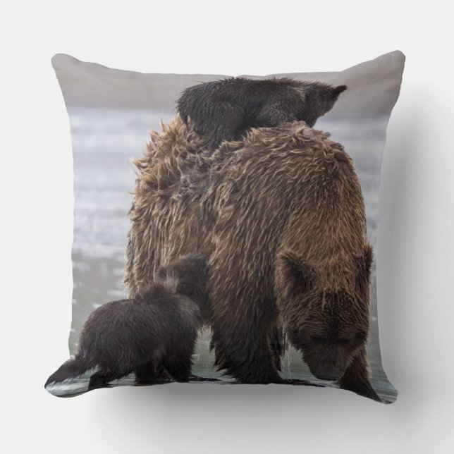 Brown Bear | Nationalpark See-Clarks Kissen (Vorderseite)