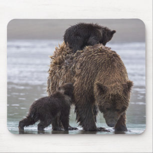 Brown Bear Nationalpark See-Clarks Mousepad