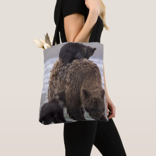 Brown Bear   Nationalpark See-Clarks Tasche