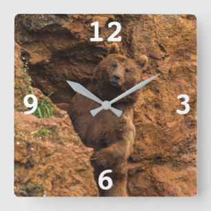 Brown Bear Square Wall Clock Quadratische Wanduhr