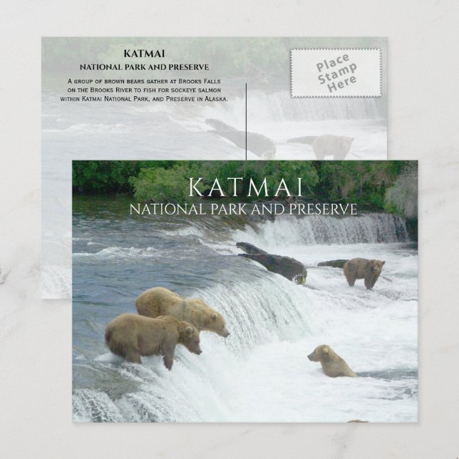 Brown Bears Fishing Brooks Falls Katmai NPP Alaska Postkarte (Vorne/Hinten)