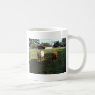 Brown blond, zwei Miniaturpferde, "kleines Pony " Kaffeetasse