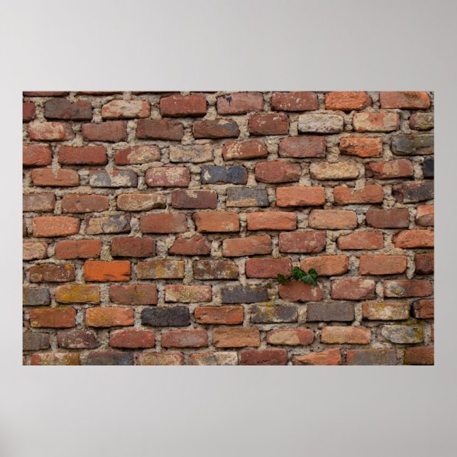 Brown brick wall poster (Vorne)