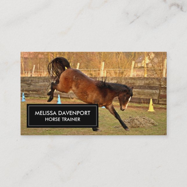 Brown Bucking Horse Fotografie spielerisch und wil Visitenkarte (Vorderseite)