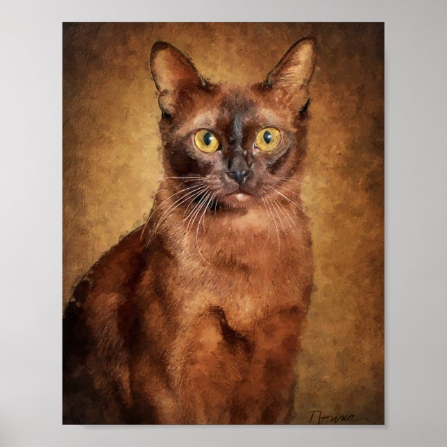 Brown Burmese Cat Poster (Vorne)