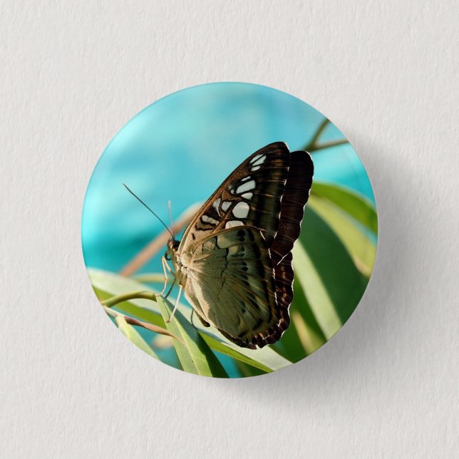 Brown Butterfly Closed Wings Button (Vorderseite)