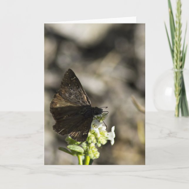 Brown Butterfly Karte (Vorderseite)