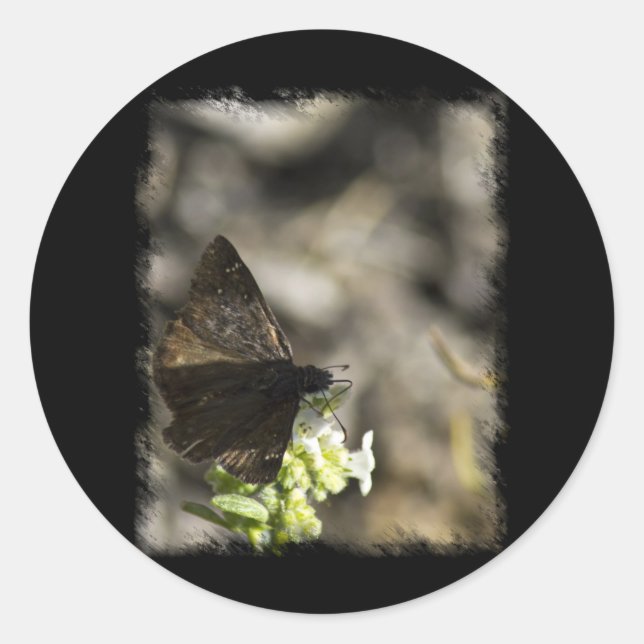Brown Butterfly Runder Aufkleber (Vorderseite)