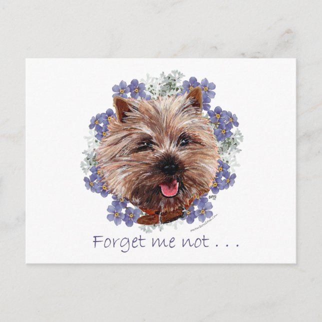 Brown Cairn Terrier Vergiss-me-not Postkarte (Vorderseite)