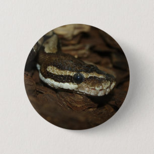 Brown Carpet Python Button