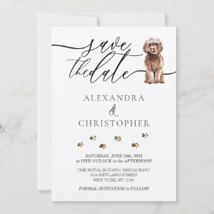 Brown Cavapoo Welpe Wedding Calligrafy Skript Save The Date