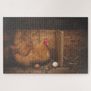 Brown chicken laying eggs