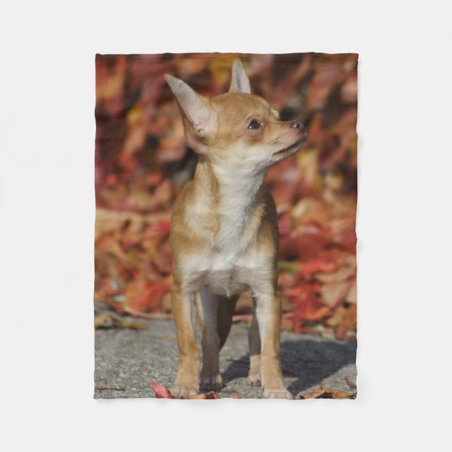 Brown Chihuahua Puppy Fleecedecke (Vorderseite)