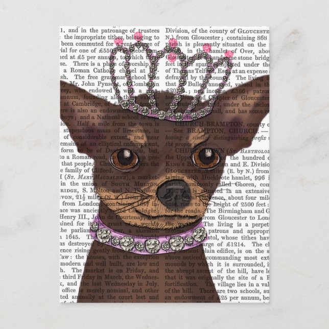 Brown Chihuahua und Tiara Postkarte (Vorderseite)