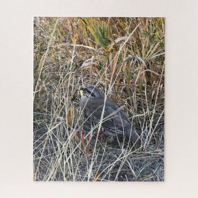 Brown Chukar Partridge fast versteckt (Vertikal)