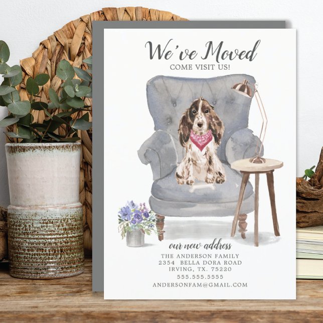 Brown Cocker Spanel Dog | Ankündigung der Beförder (Von Creator hochgeladen)