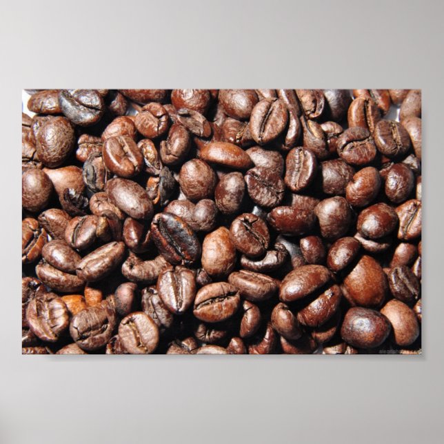 BROWN COFFEE BEANS FOTOGRAFIE BACKGRUNDS FOODS POSTER (Vorne)