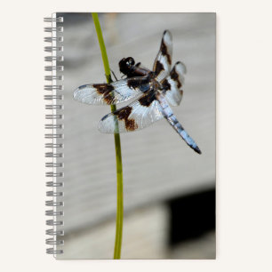 Brown Dragonfly Notebook Journal Notizbuch