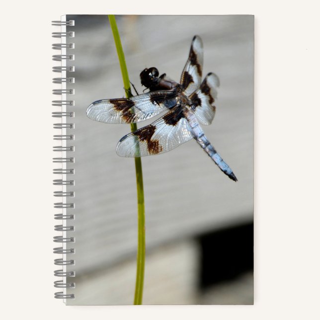 Brown Dragonfly Notebook Journal Notizbuch (Vorderseite)