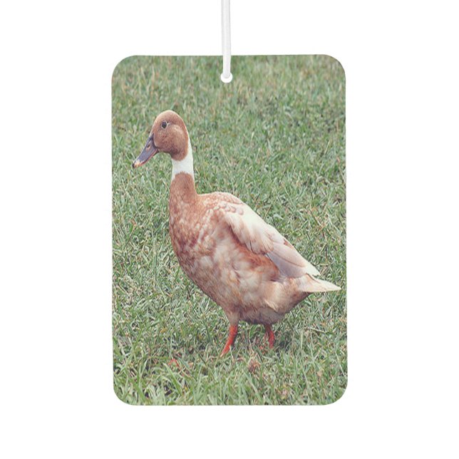 Brown Duck Air Freshener Autolufterfrischer (Vorderseite)