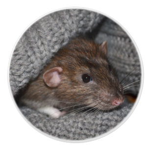 Brown Dumbo Rat Dresser Knob Keramikknauf