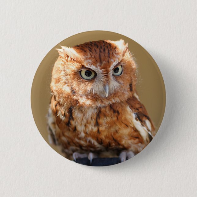 Brown-Eule Button (Vorderseite)