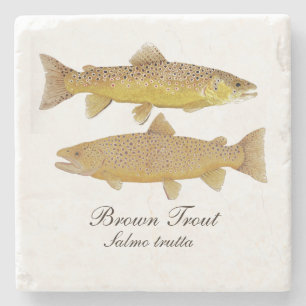 Brown-Forelle-Marmor-Untersetzer Steinuntersetzer