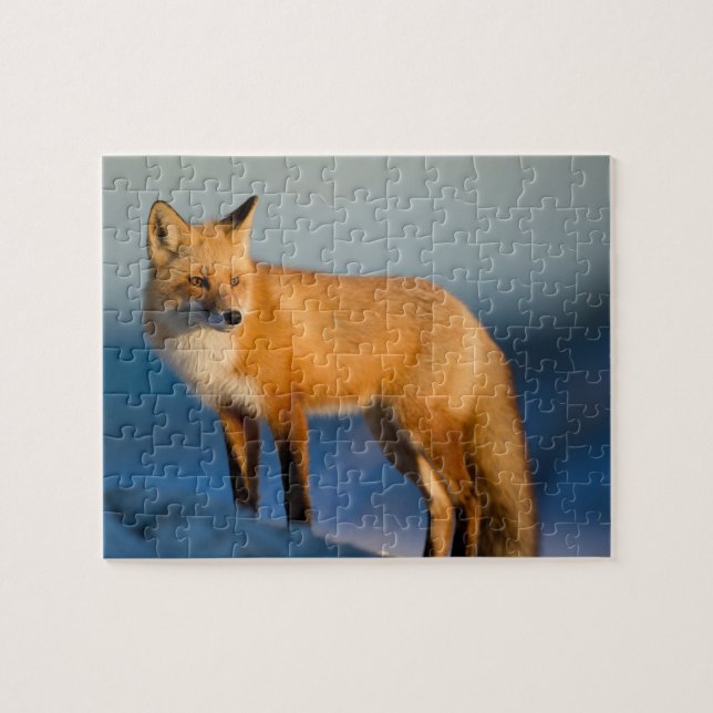Brown Fox Jigsaw Puzzle (Horizontal)