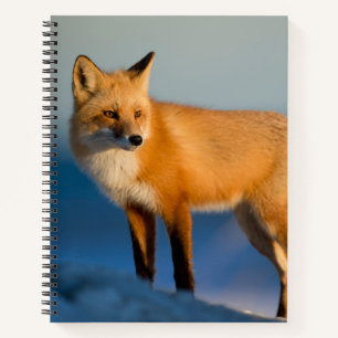 Brown Fox Notizbuch