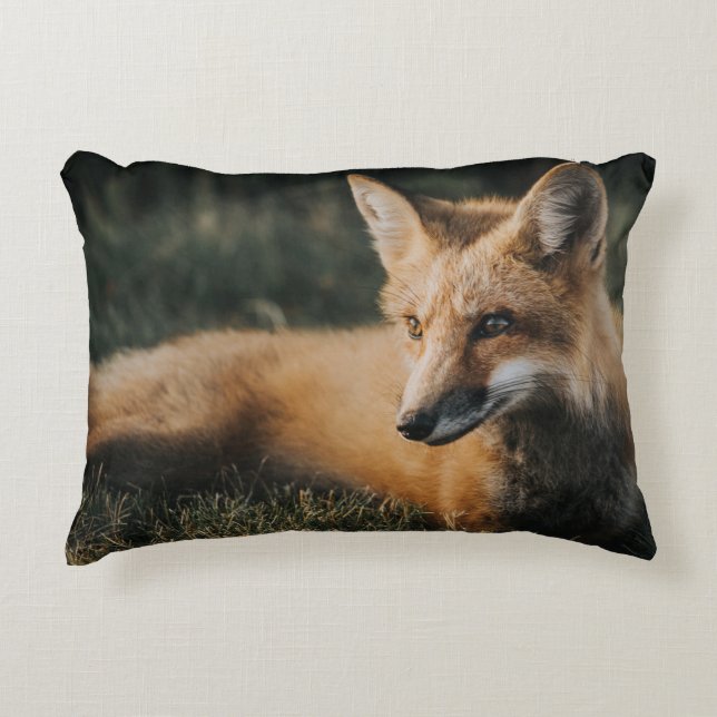 BROWN FOX ON GROUND DEKOKISSEN (Vorderseite)