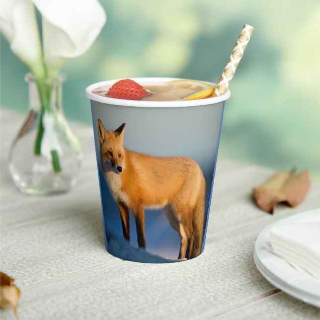 Brown Fox Pappbecher (In Situ)
