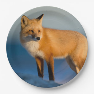 Brown Fox Pappteller