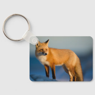 Brown Fox Schlüsselanhänger