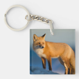 Brown Fox Schlüsselanhänger