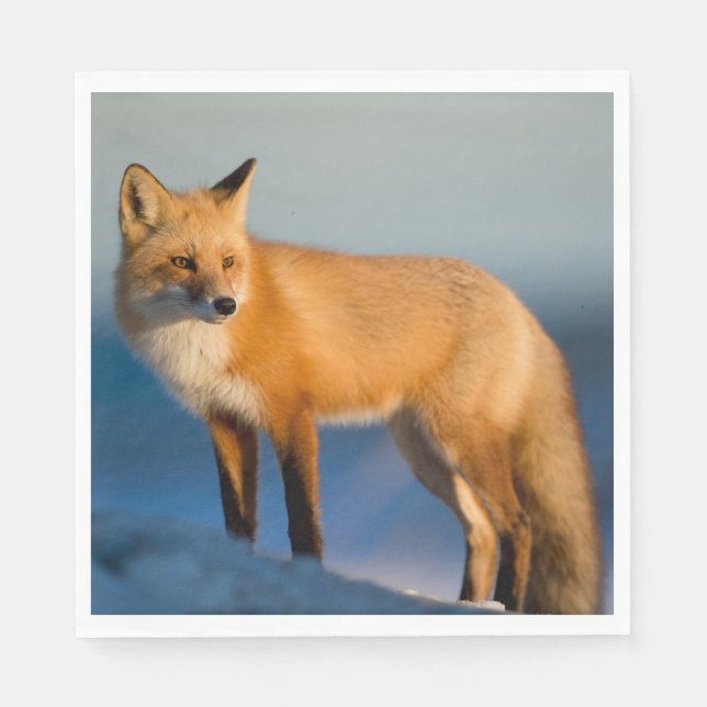 Brown Fox Serviette (Vorderseite)