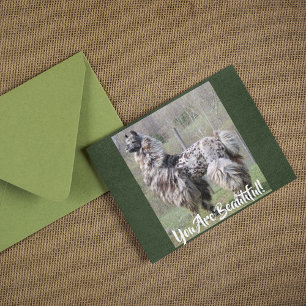 Brown Gepunktet Extravagant Show Llama Postkarte