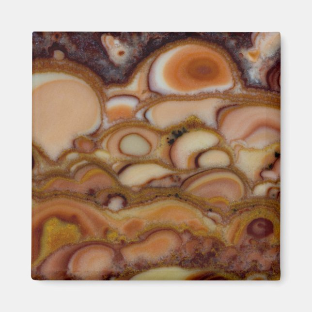 Brown Gepunktet Onyx Magnet (Vorne)
