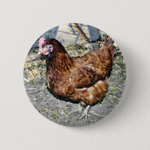 Brown-Henne auf dem Hinterhof Button